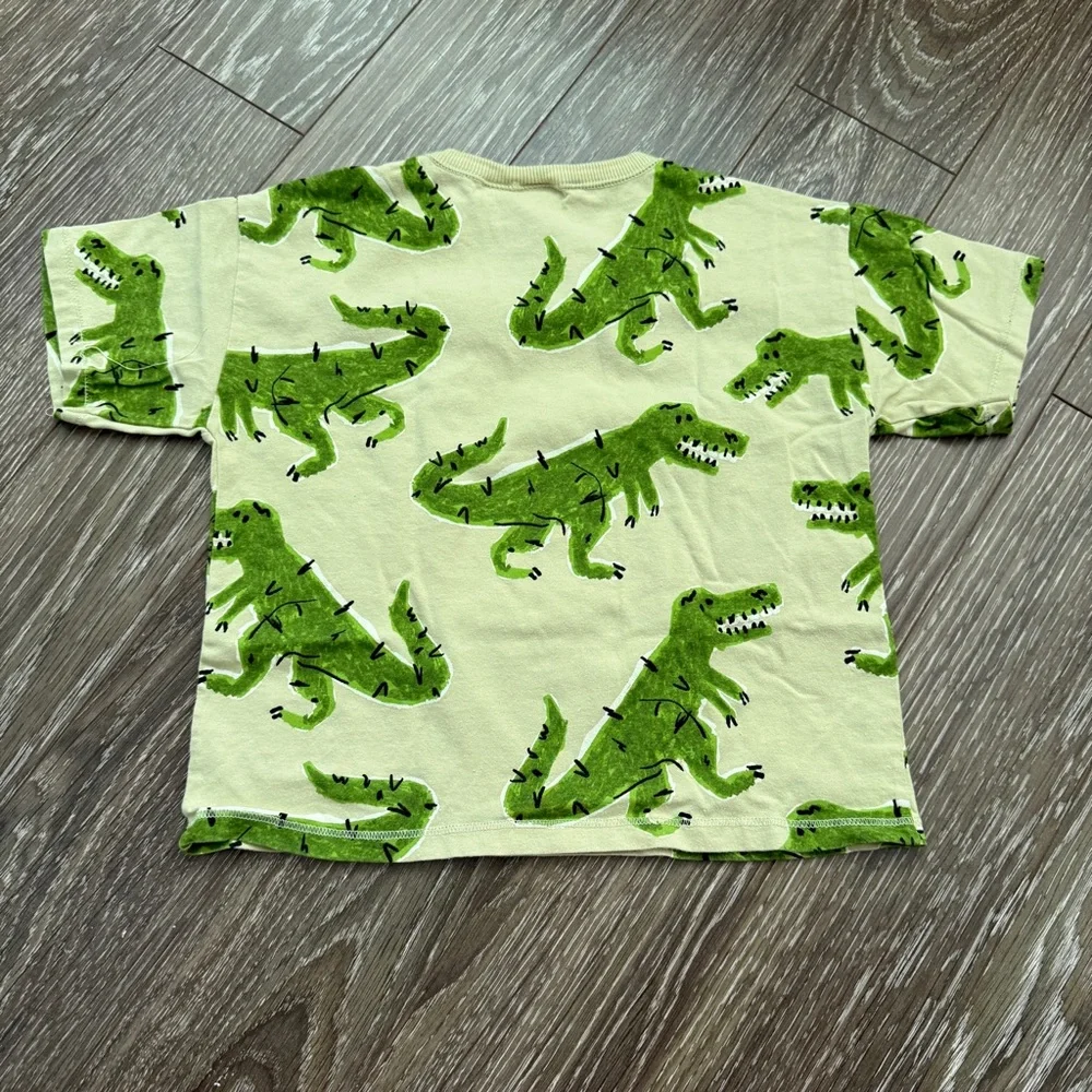 Zara Kids Set with Dinosaur Print Size 5